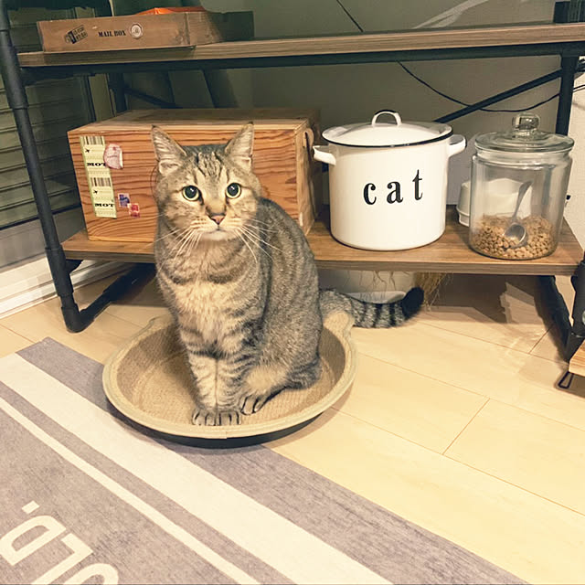 Miechamさんの実例写真