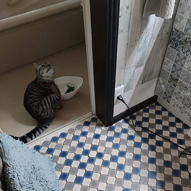 hiro3さんの実例写真