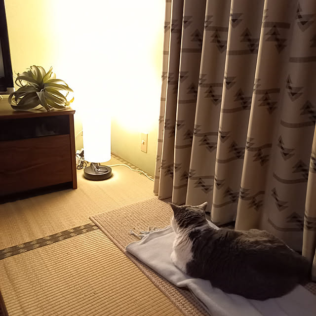 rhuさんの実例写真