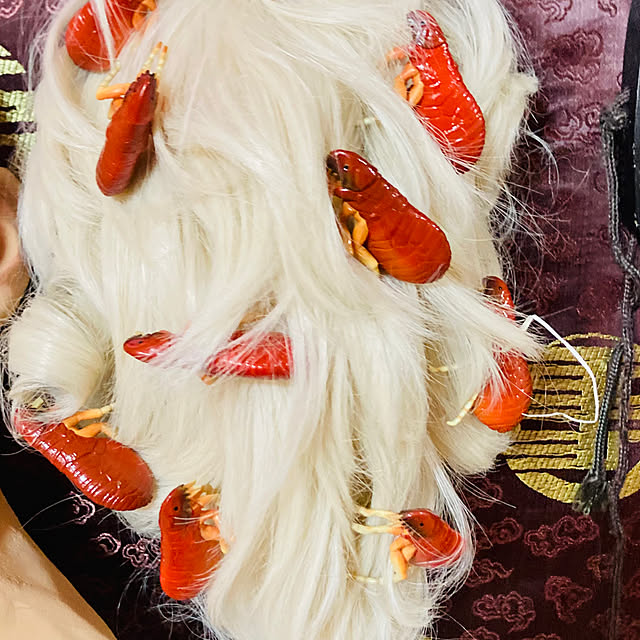 takakuzenさんの実例写真