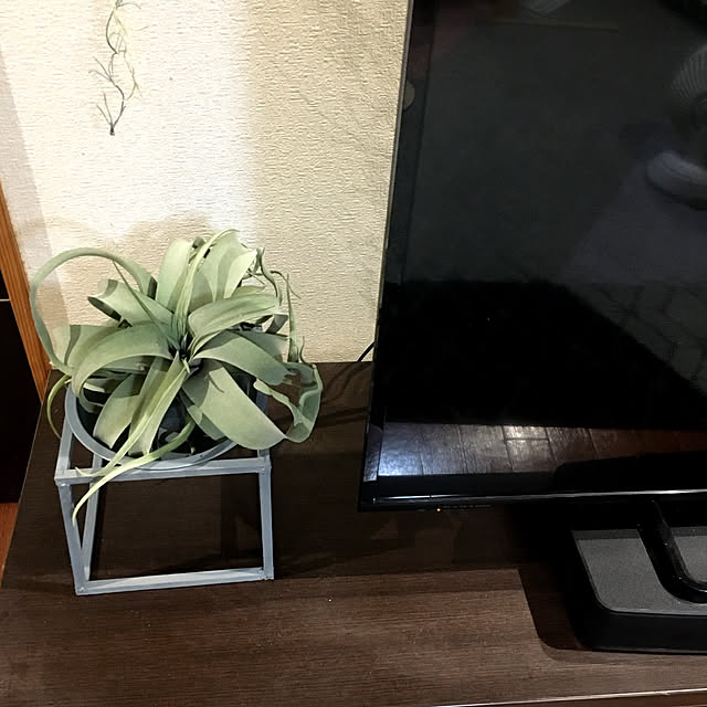 maamiさんの実例写真