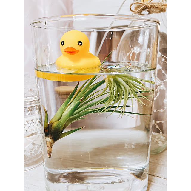 hiyoko145さんの実例写真