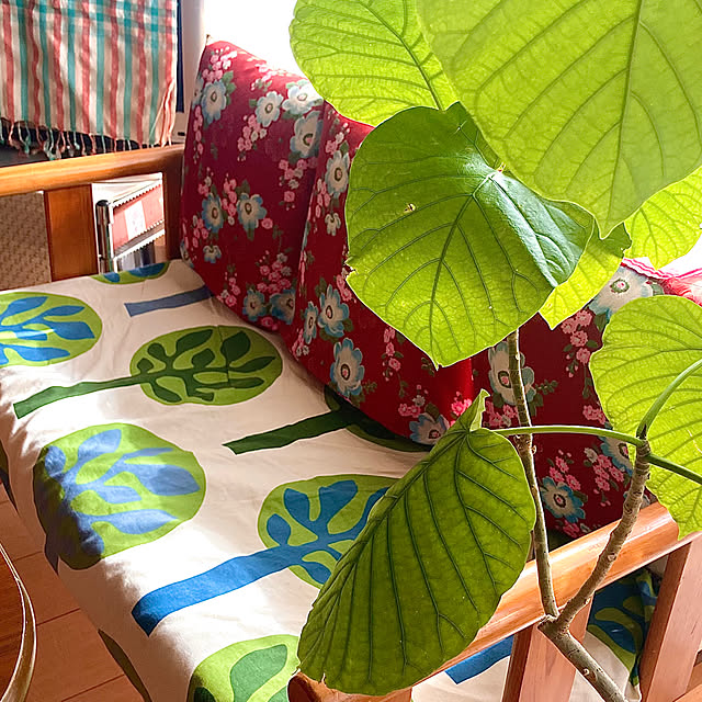 heidiさんの部屋