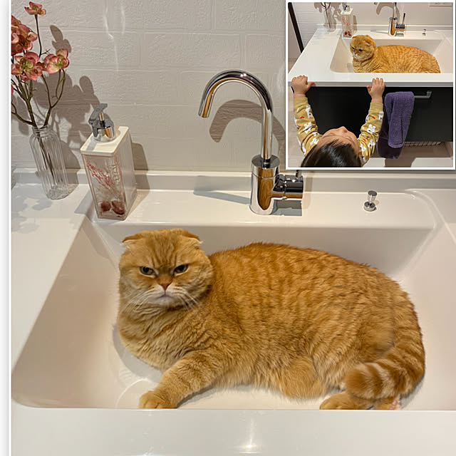 Mahoさんの実例写真