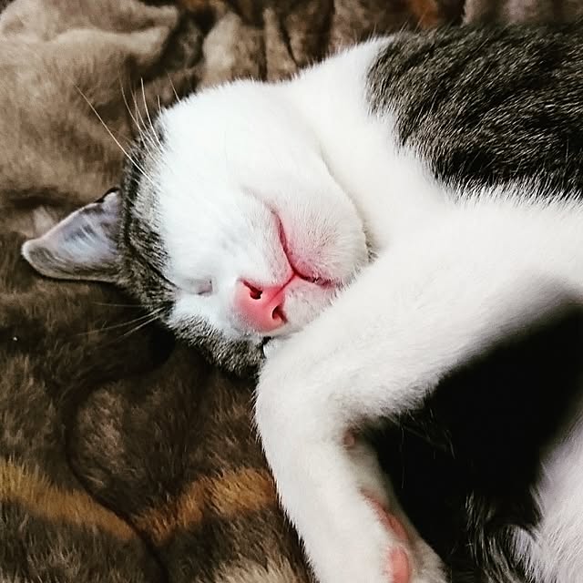 kiraさんの実例写真