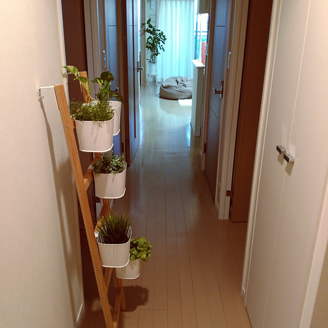 waokitsuneさんの実例写真