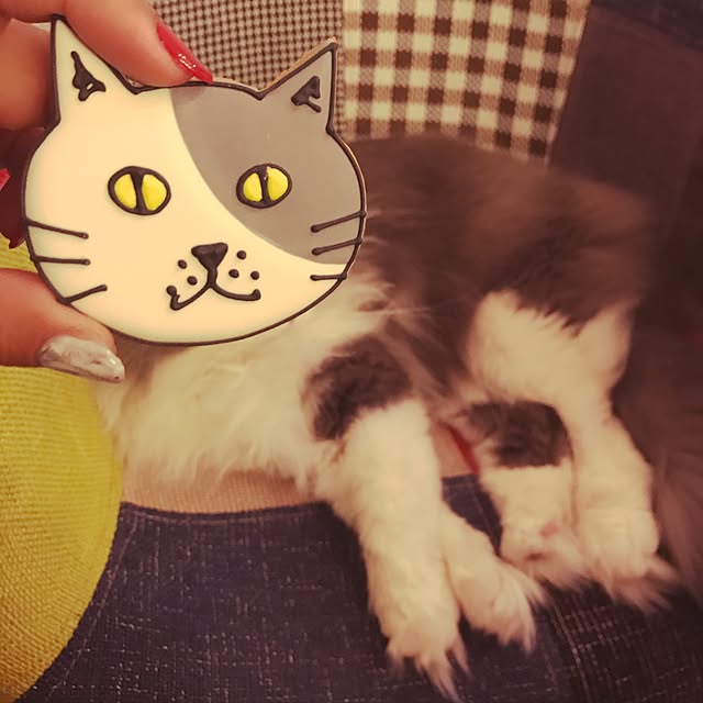 asukinokoさんの実例写真
