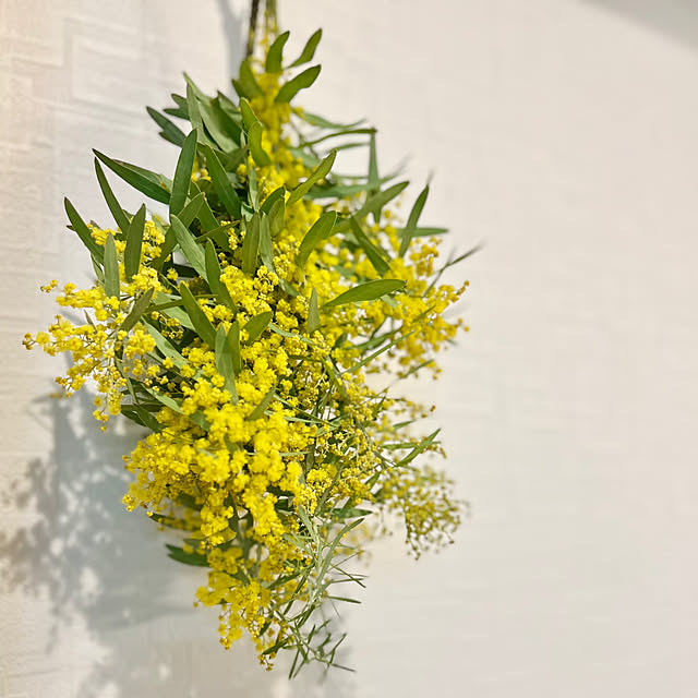 ayaさんの実例写真