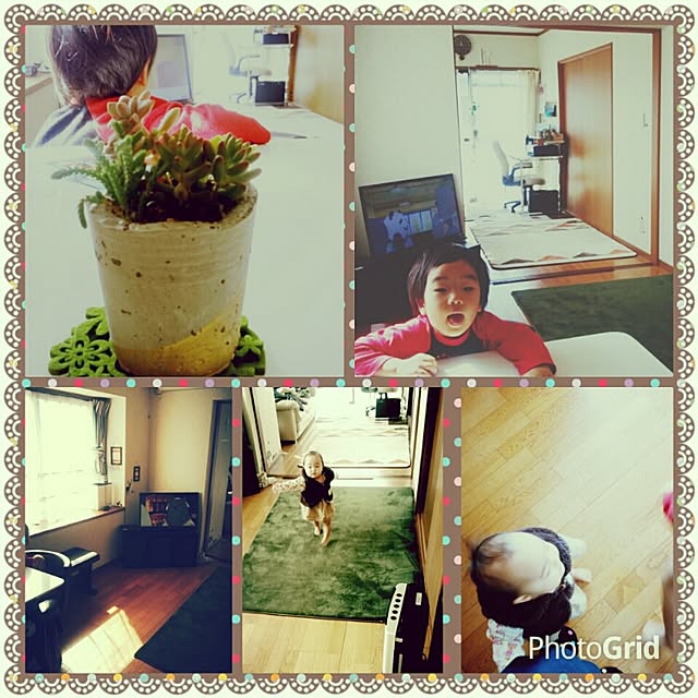 Yachiyoさんの実例写真