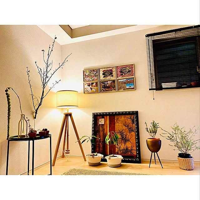 観葉植物/ナチュラル/IKEA/雑貨/一人暮らし...などのインテリア実例 - 2021-05-04 21:20:58