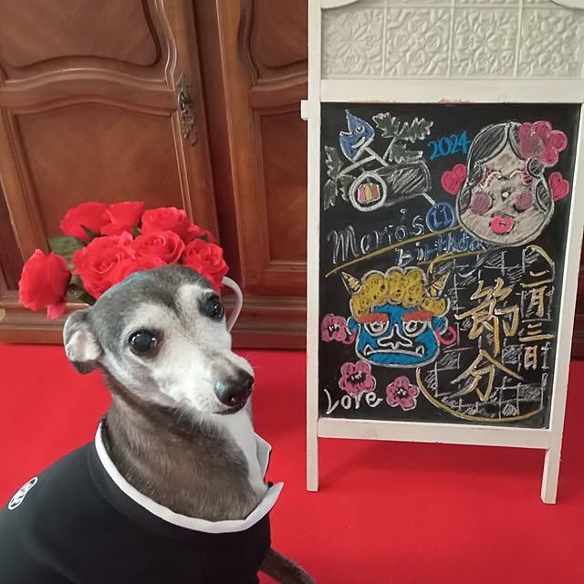 moruさんの部屋
