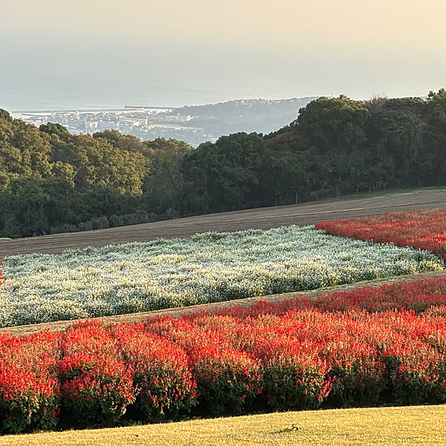 tututu0204さんの部屋