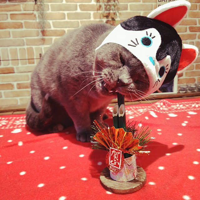 daiさんの実例写真