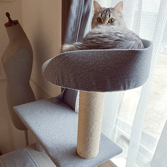 kkkさんの実例写真
