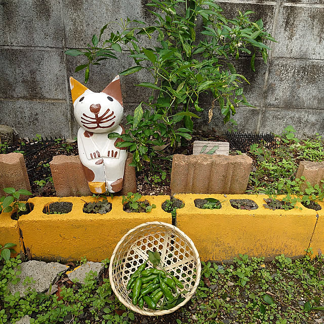 fukuさんの実例写真