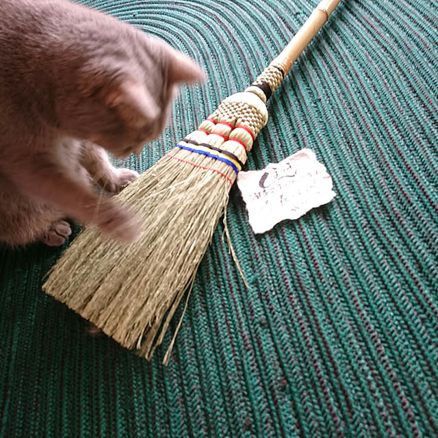 uchizukonyanさんの実例写真