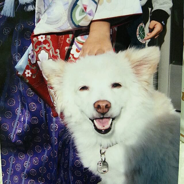 nonchanさんの実例写真
