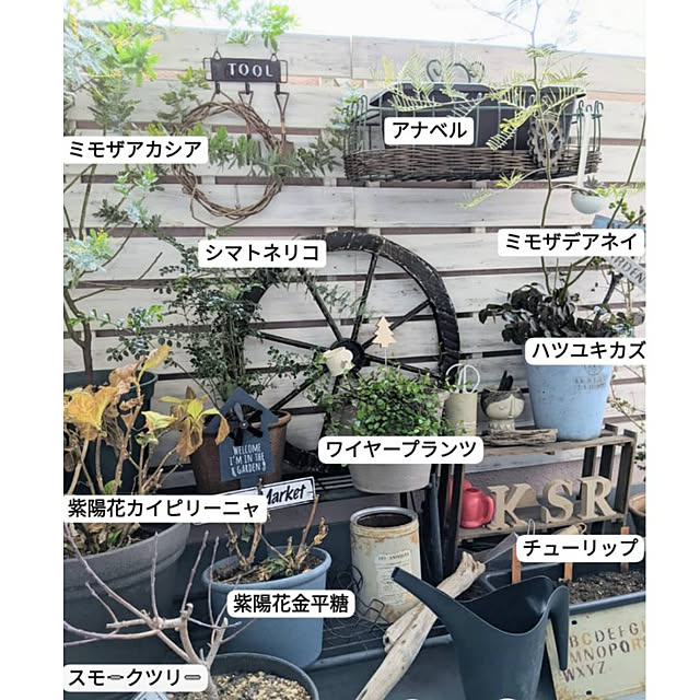 ichi.さんの実例写真