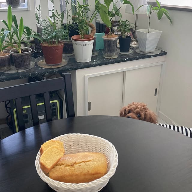 MOMOMAMAさんの実例写真