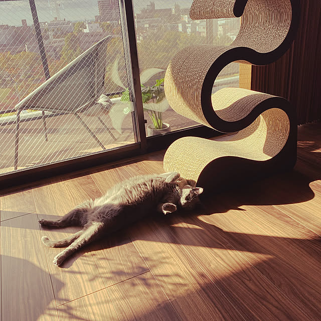 yumi.snoopさんの実例写真