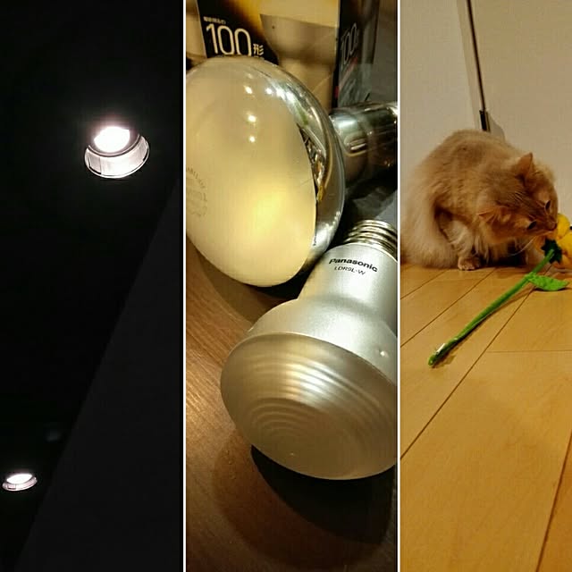 1ldksさんの実例写真