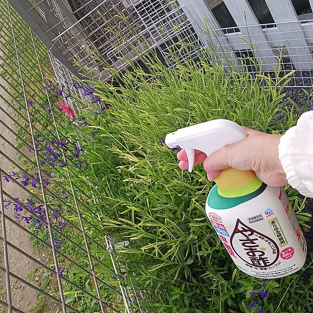 aiさんの実例写真