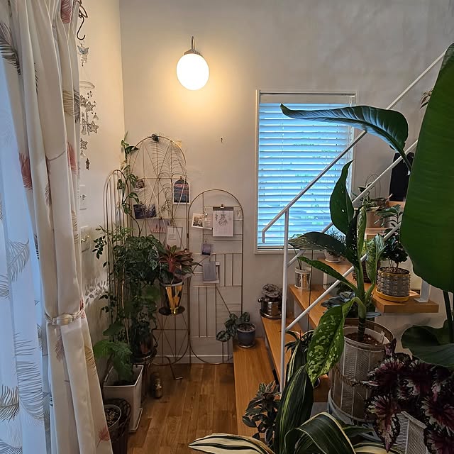 nonbiri_house_さんの実例写真