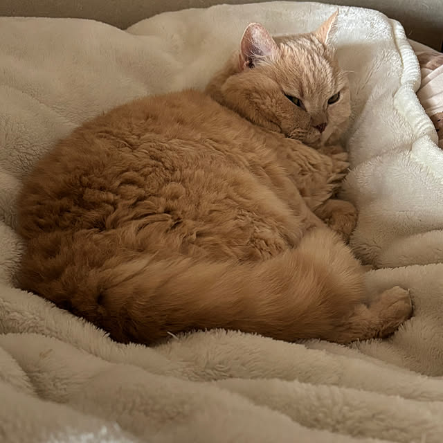 naokoさんの部屋