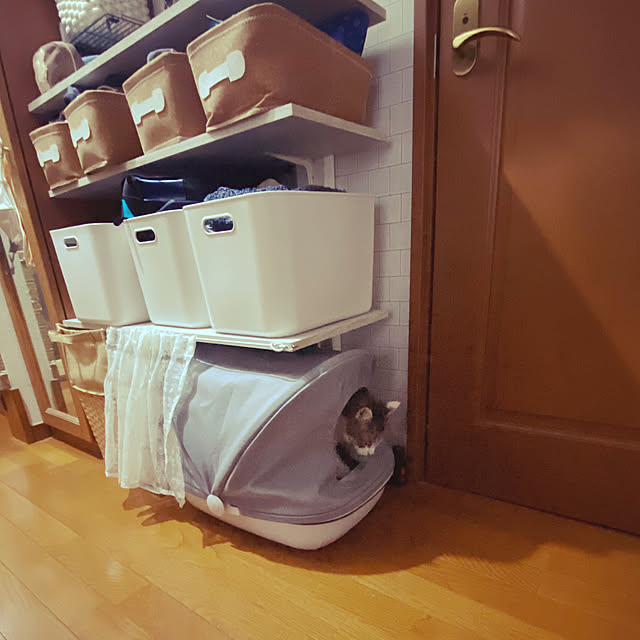 Lufuさんの部屋