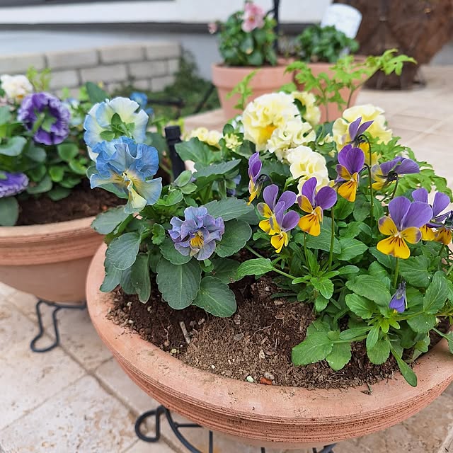 shiori.さんの実例写真