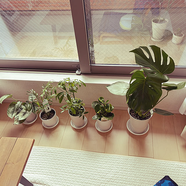 nejibanaさんの実例写真