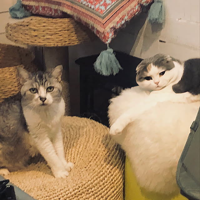 runtenさんの実例写真