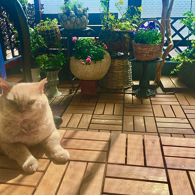 naokoさんの部屋