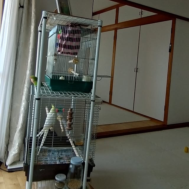 toratanさんの実例写真