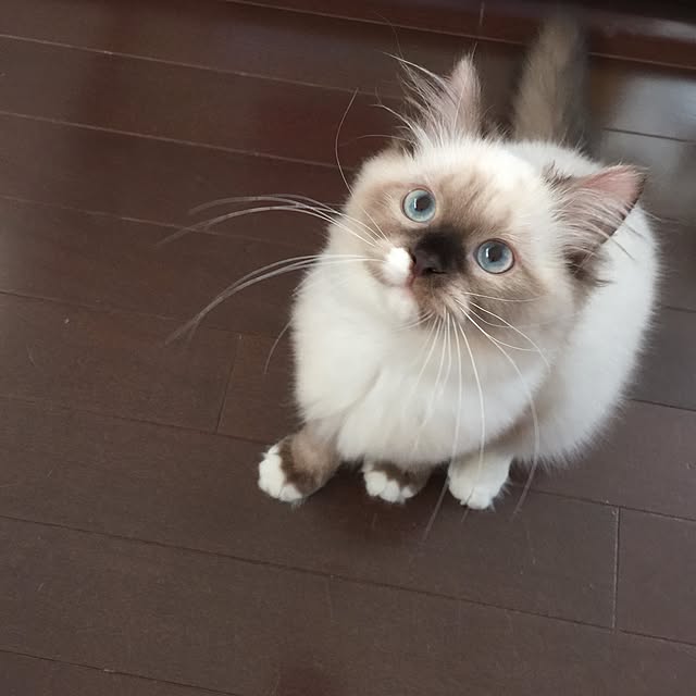 RMHさんの実例写真