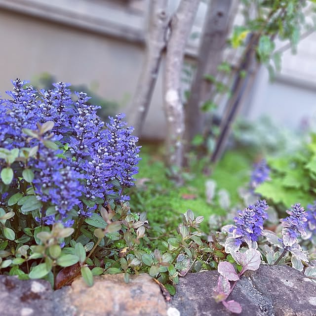 souさんの部屋