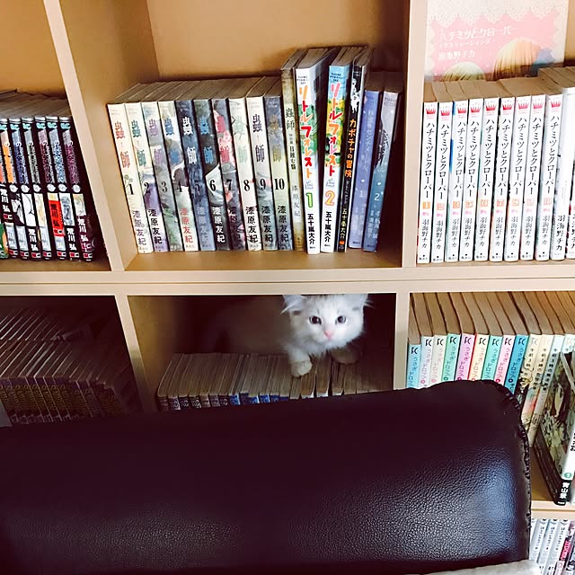 Chekaさんの実例写真