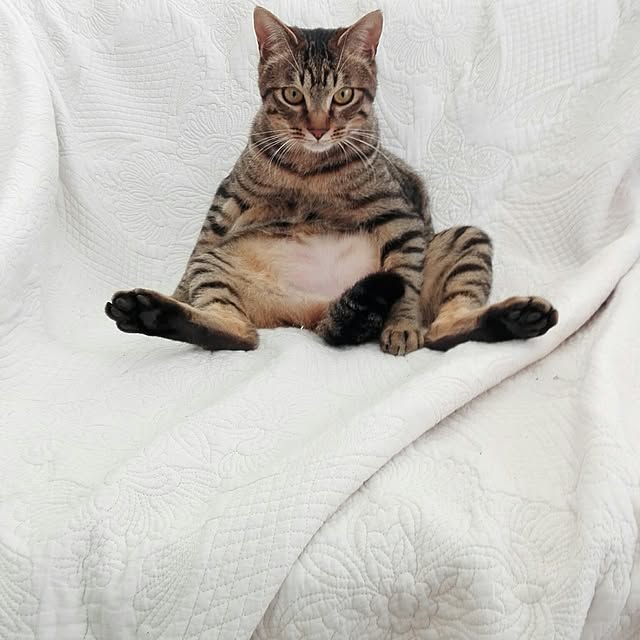 noraさんの実例写真