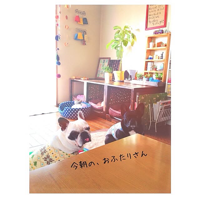 38coreさんの実例写真