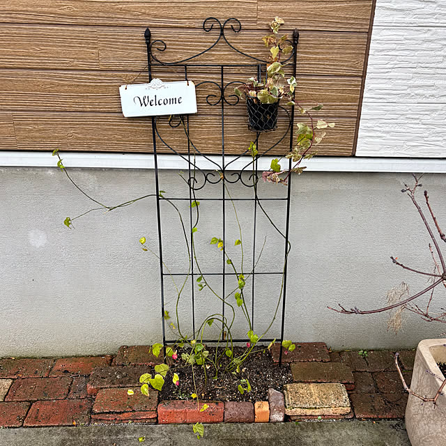 mami.121さんの実例写真