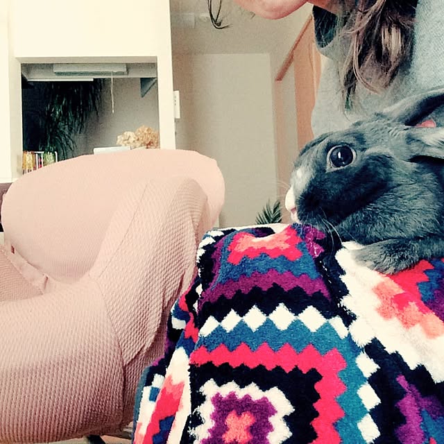maytrucさんの実例写真