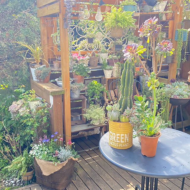 mintteaさんの部屋