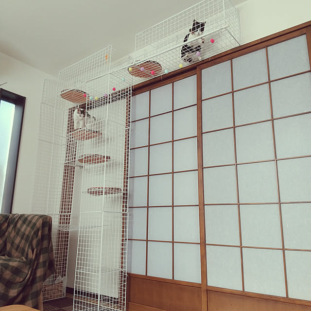 Mikaさんの実例写真