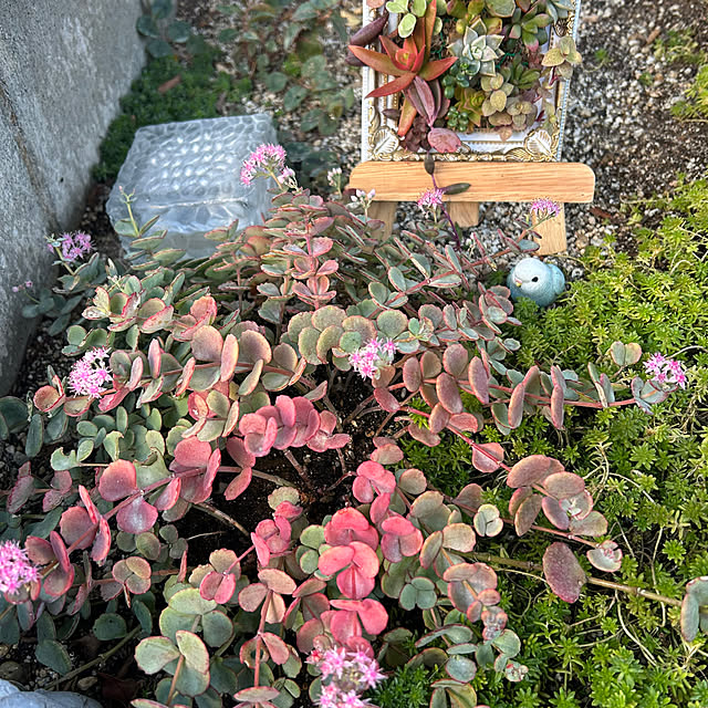 banbinaさんの実例写真