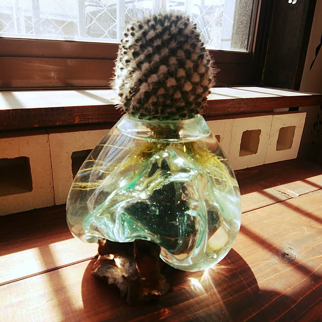 hiro9900さんの実例写真