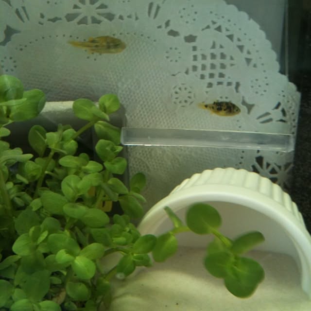 ai.さんの実例写真
