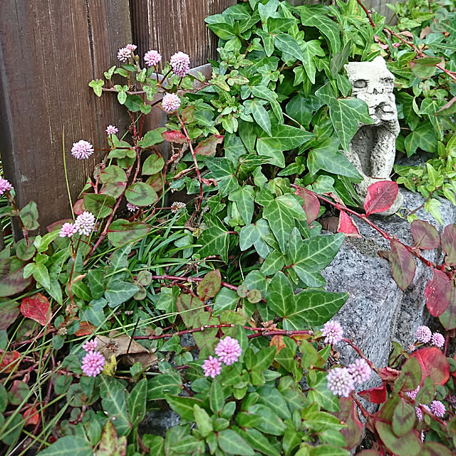 demetanさんの実例写真