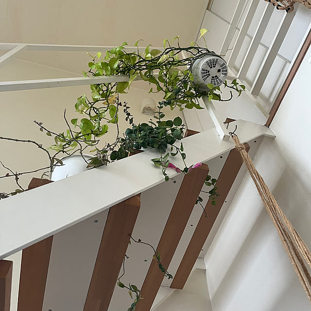 khaiさんの実例写真