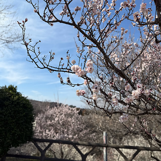sachieyさんの部屋