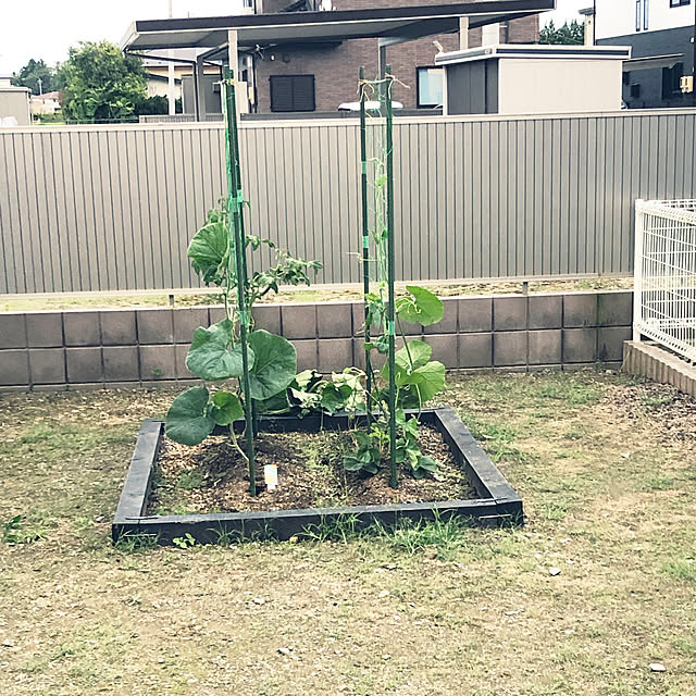 soccer.junkie4312さんの実例写真